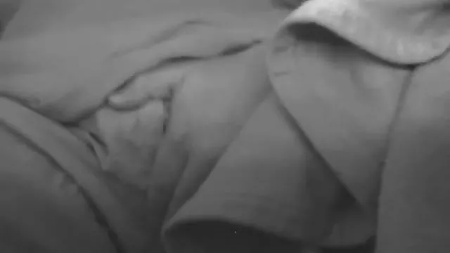 XXX bez rejestracji Busty brunetka dojrzale polskie mamuski Dixon zabawki koty